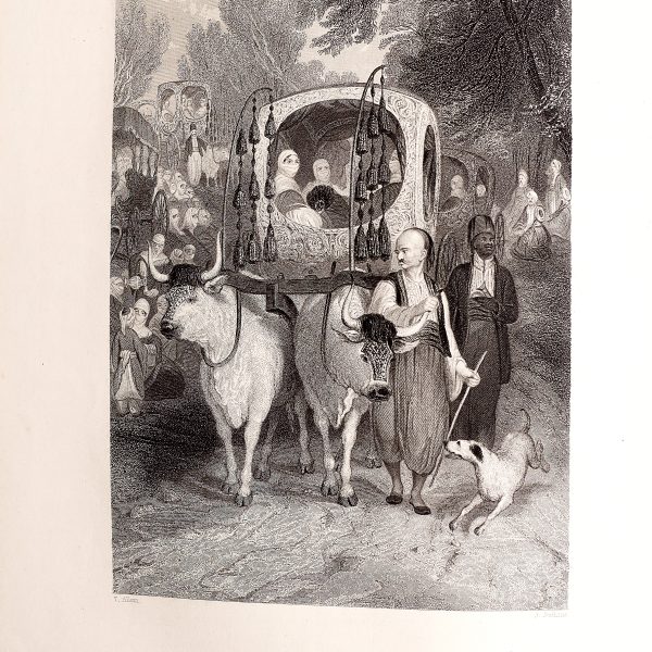 FISHER'S ILLUSTRATIONS