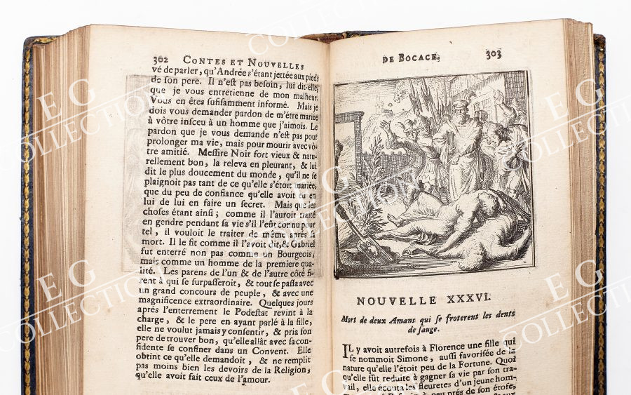 BOCCACE - Image 7