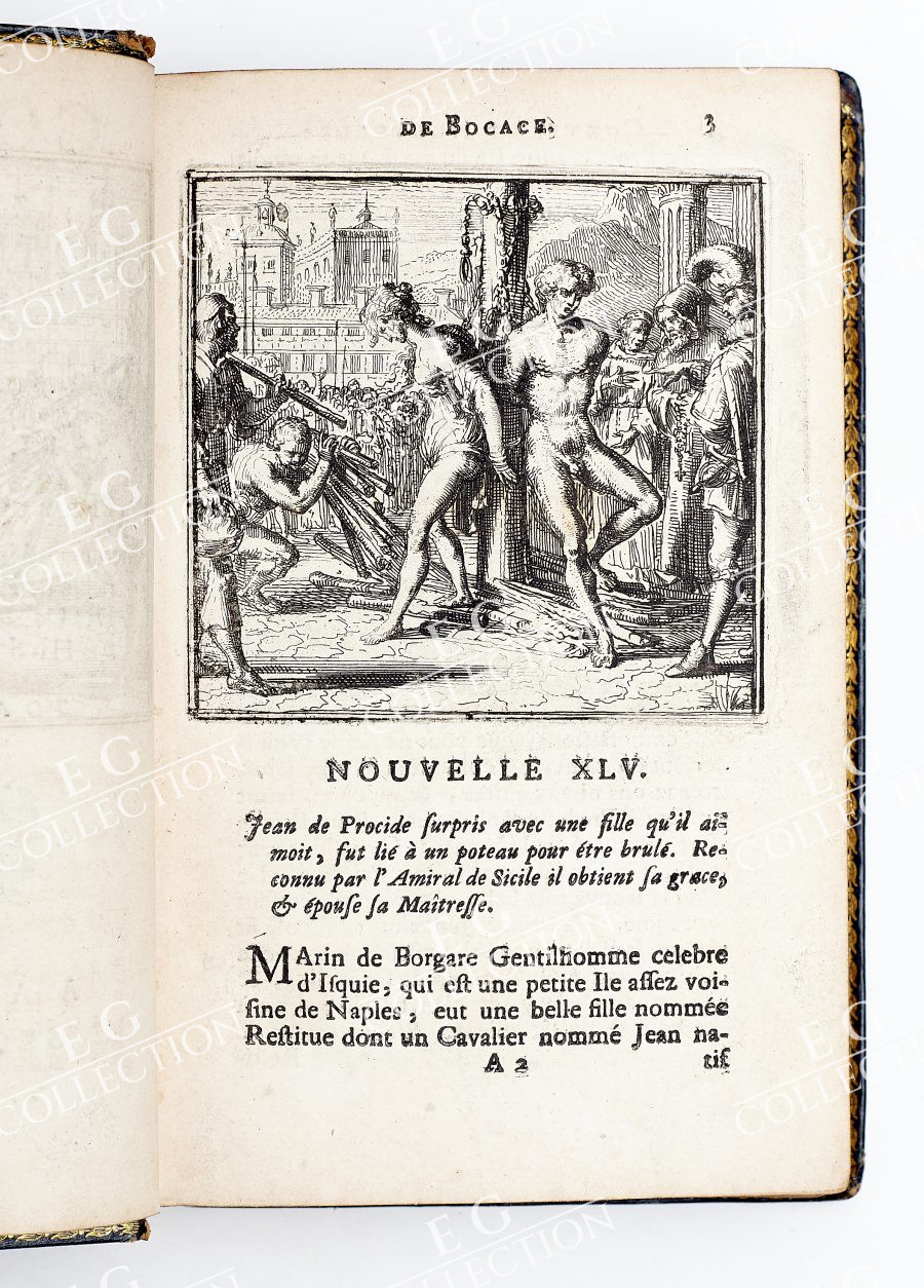 BOCCACE - Image 11