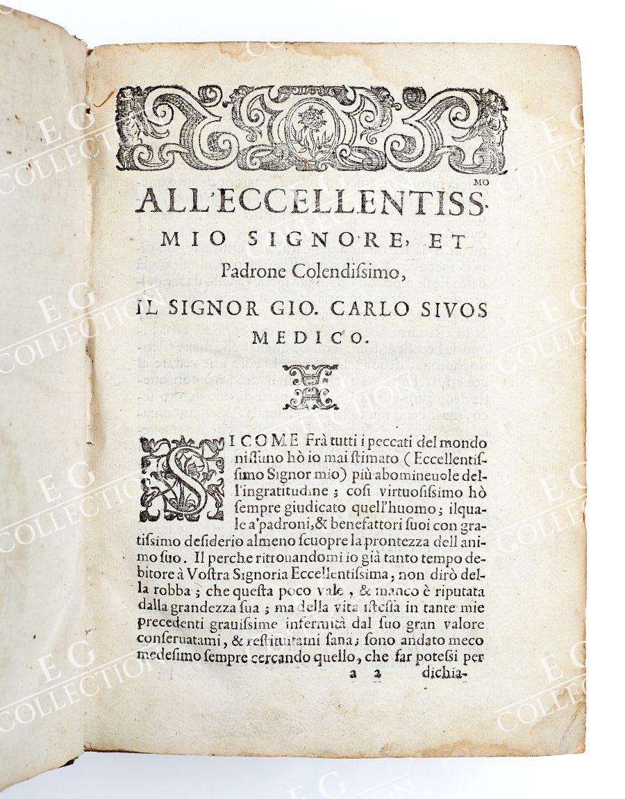 SANSOVINO - Image 3