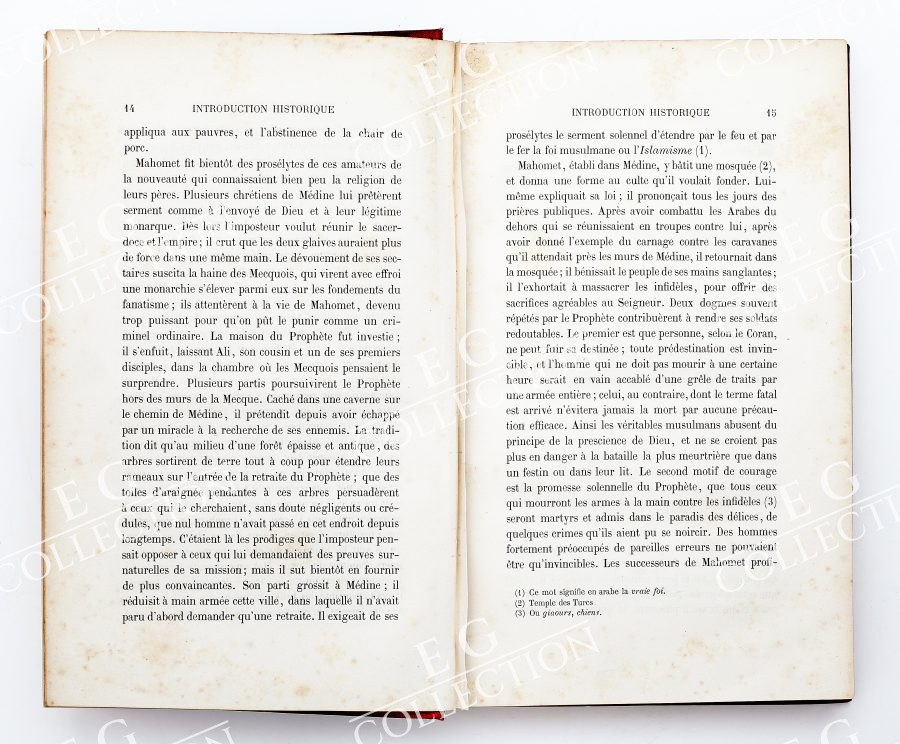 BARTHELEMY - Image 6