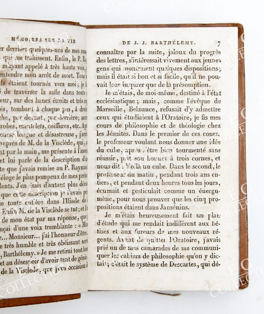 BARTHELEMY - Image 8