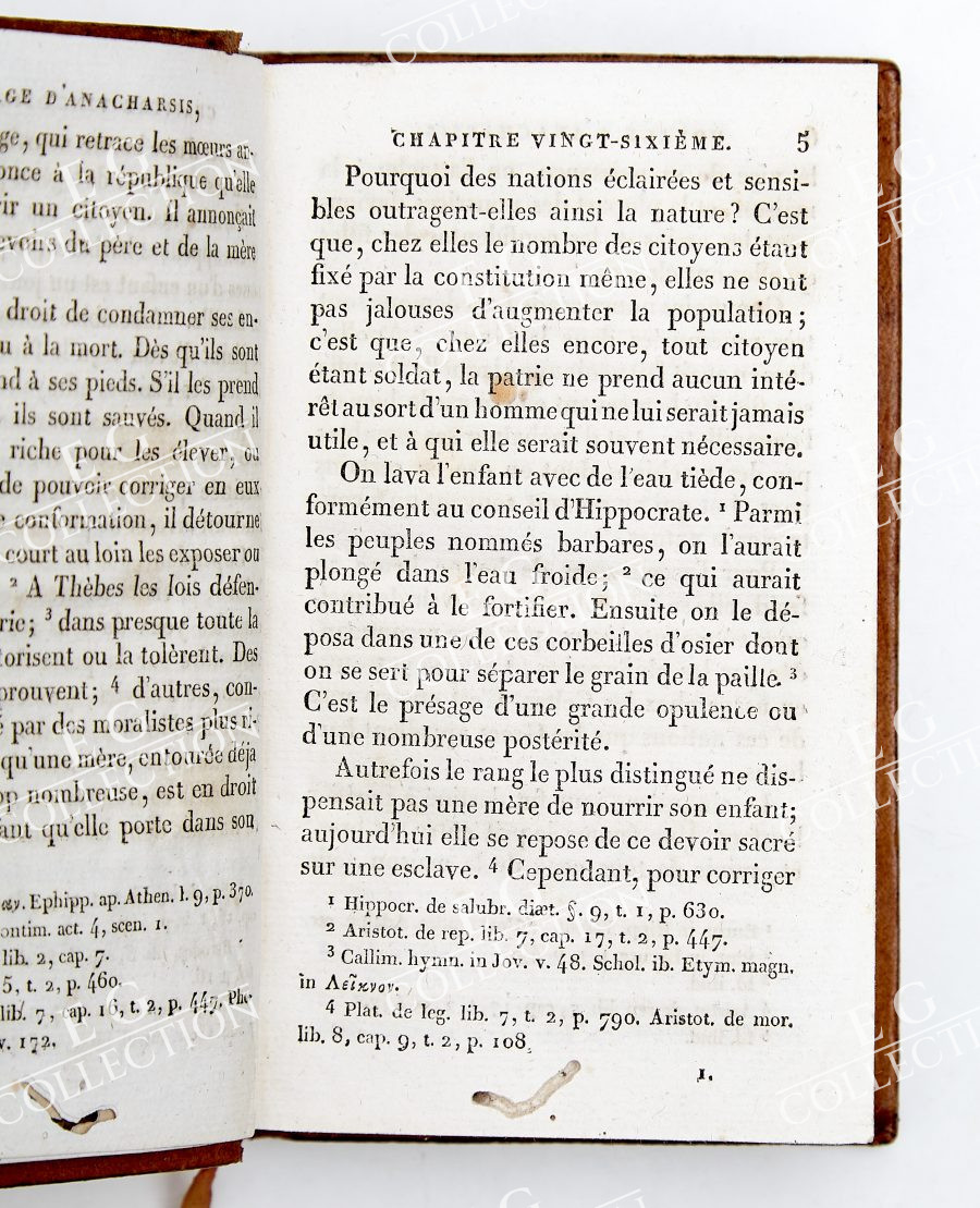BARTHELEMY - Image 15