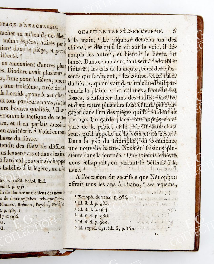 BARTHELEMY - Image 21