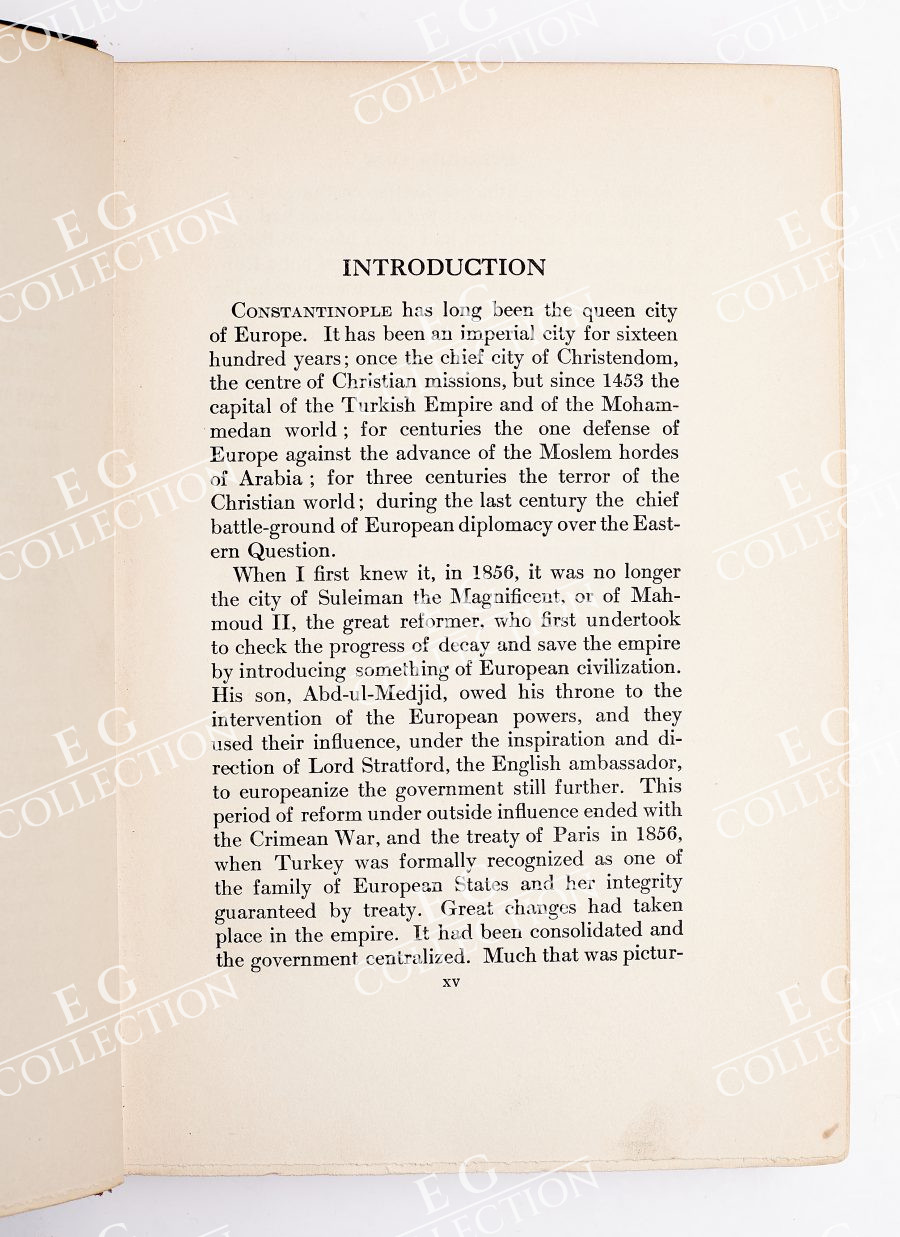 WASHBURN - Image 7