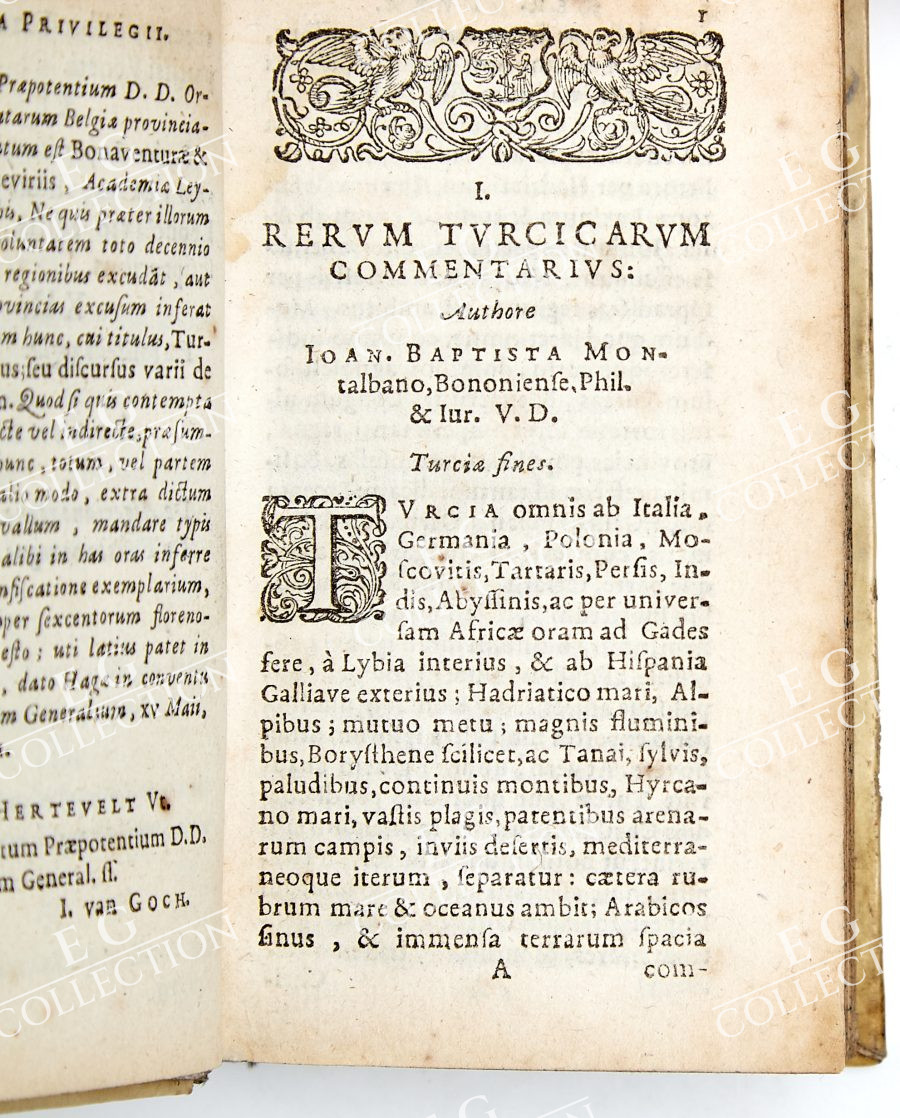 DE LAET - Image 5
