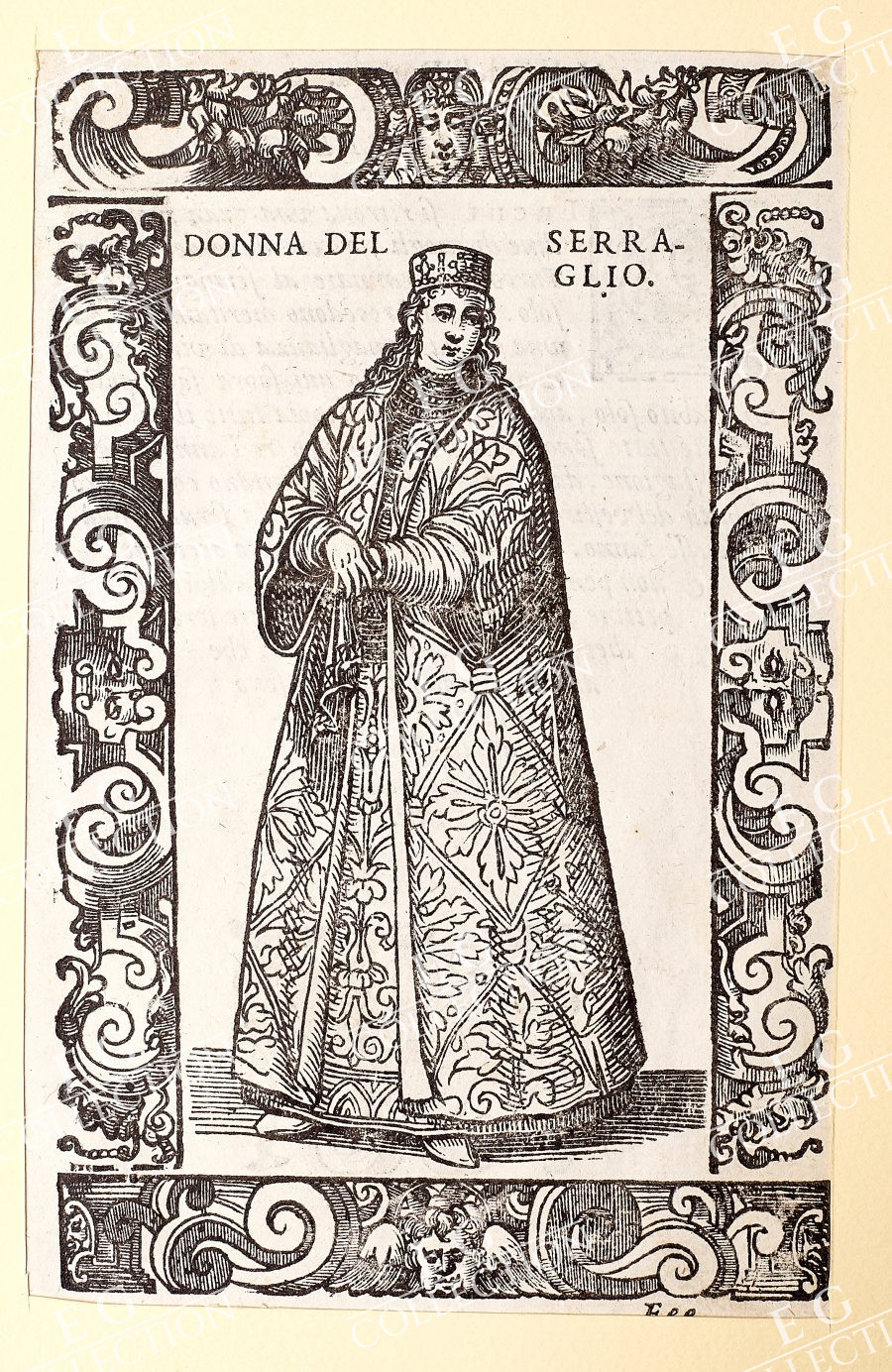 VECELLIO - Image 4