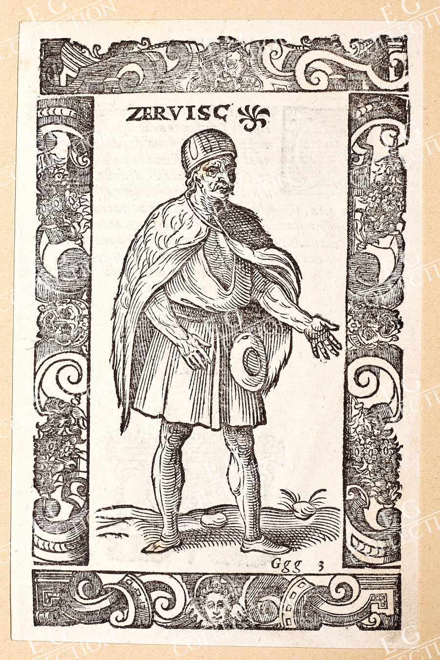 VECELLIO - Image 5