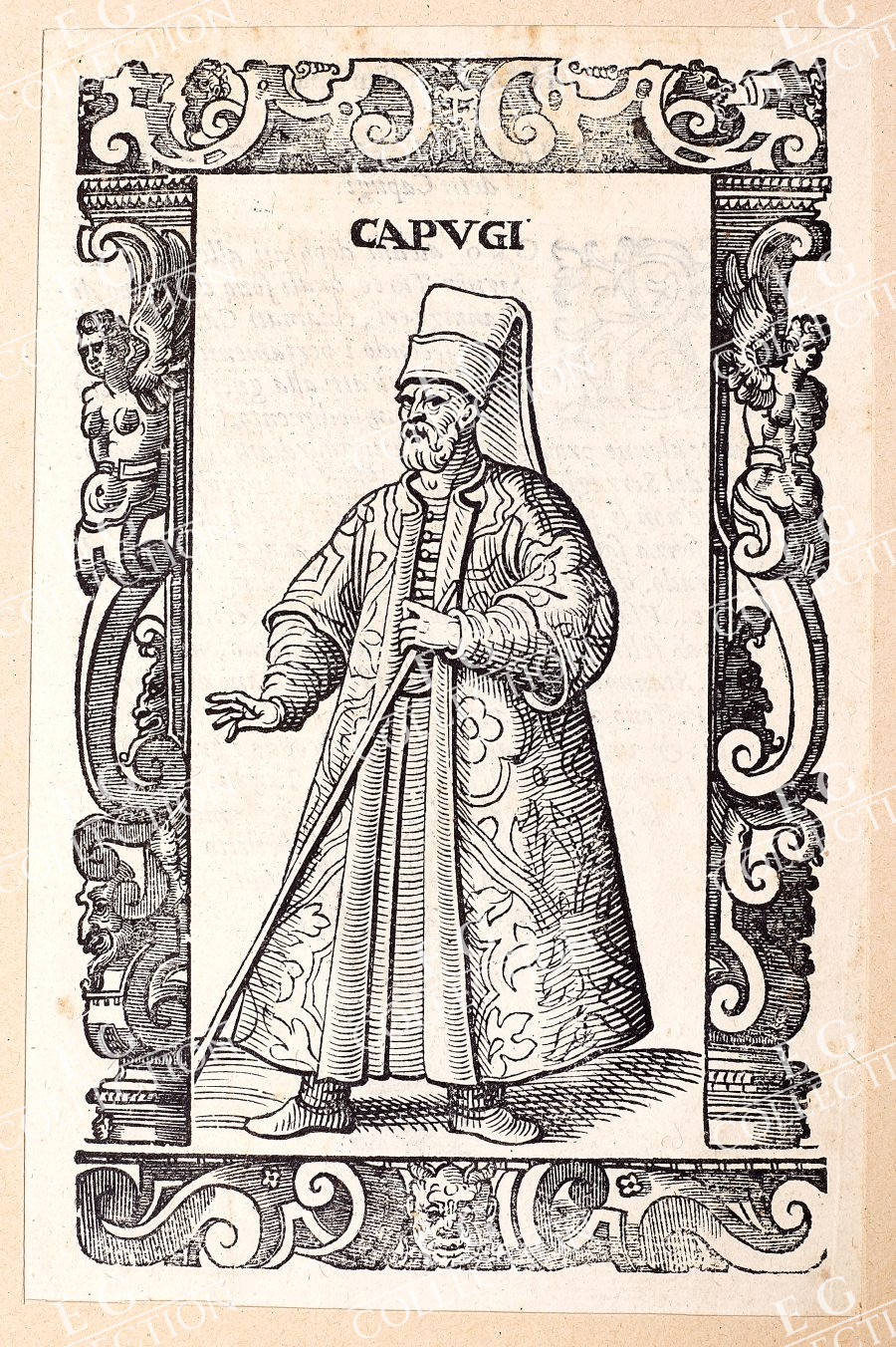 VECELLIO - Image 6