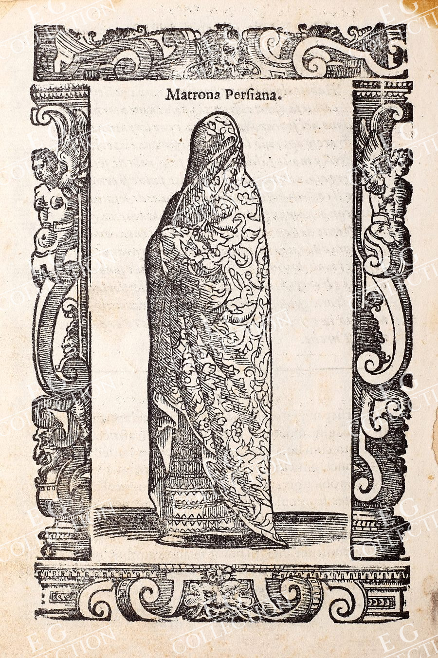 VECELLIO - Image 9