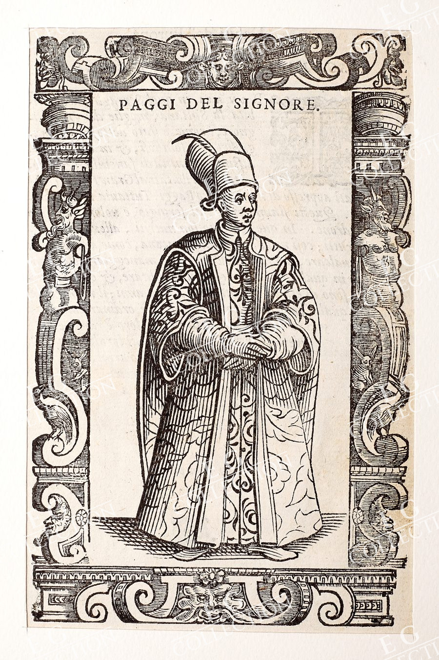 VECELLIO - Image 10