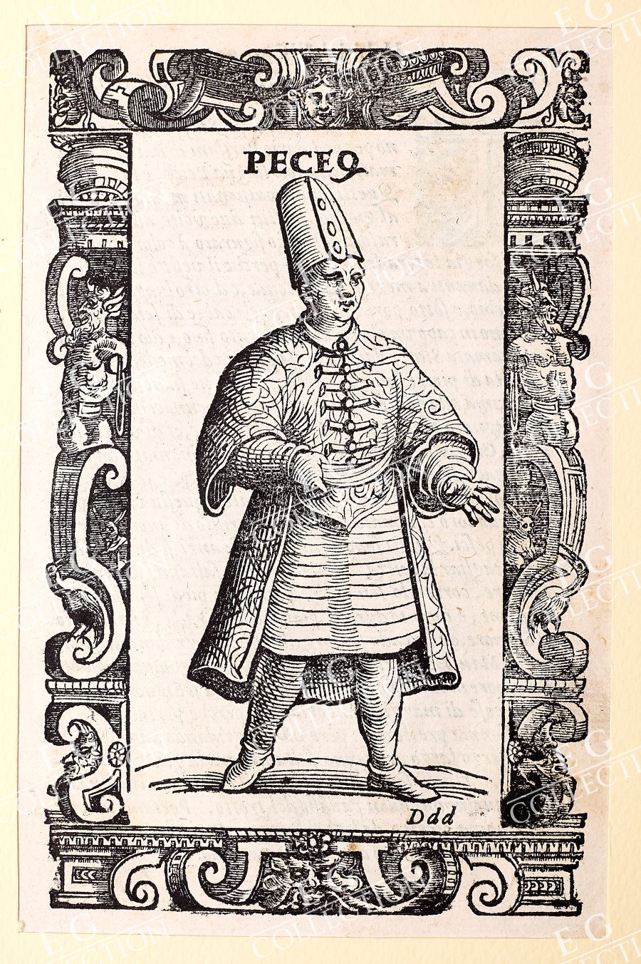 VECELLIO - Image 11
