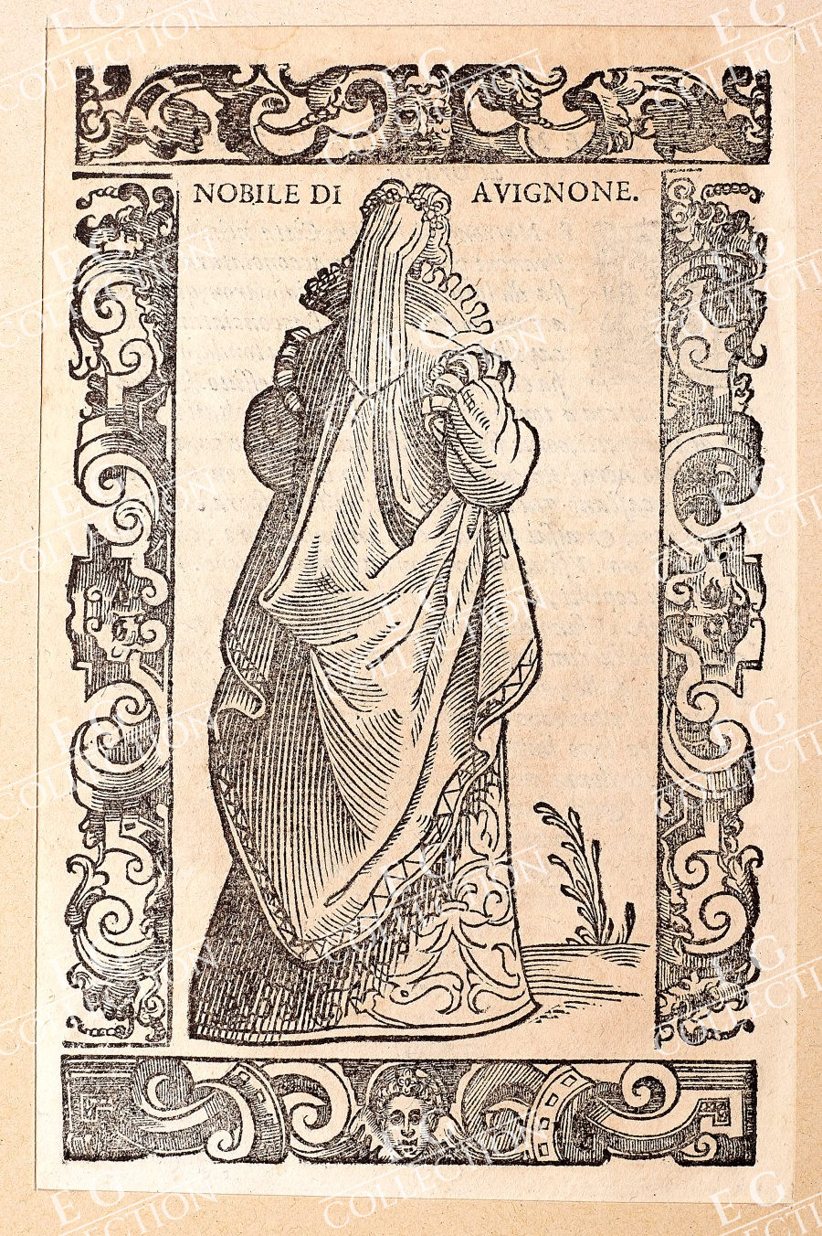 VECELLIO - Image 12
