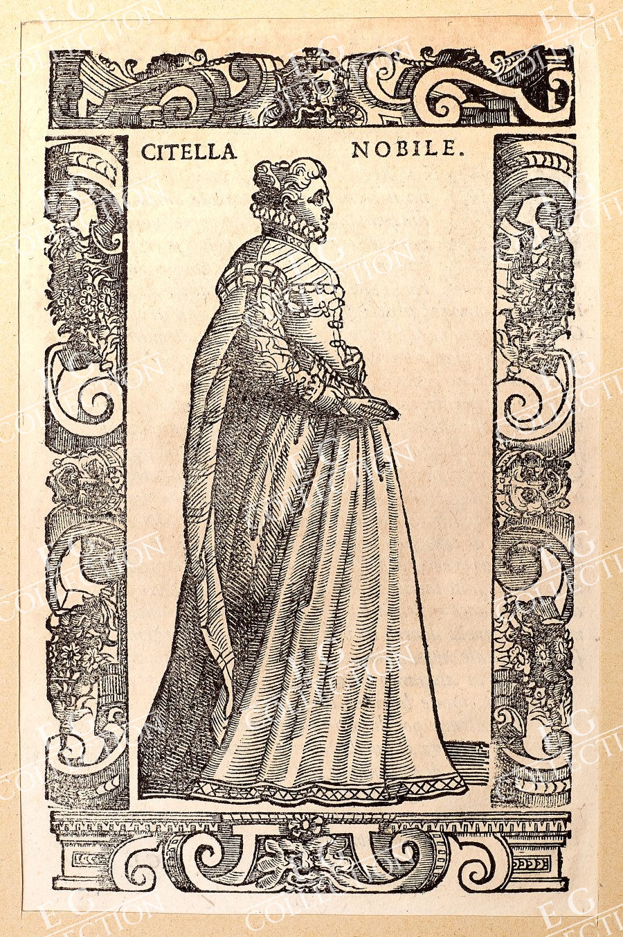 VECELLIO - Image 13