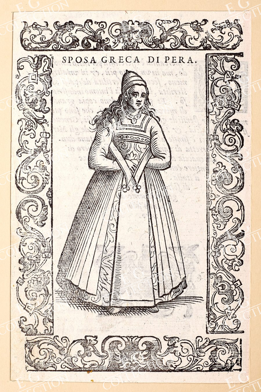 VECELLIO - Image 16