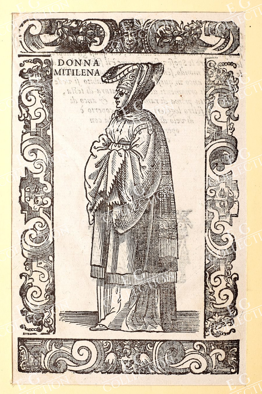 VECELLIO - Image 17