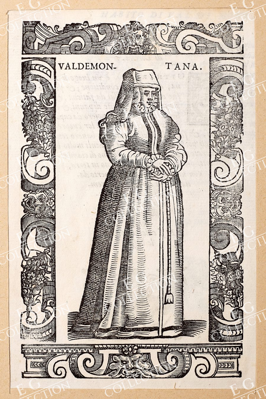 VECELLIO - Image 19