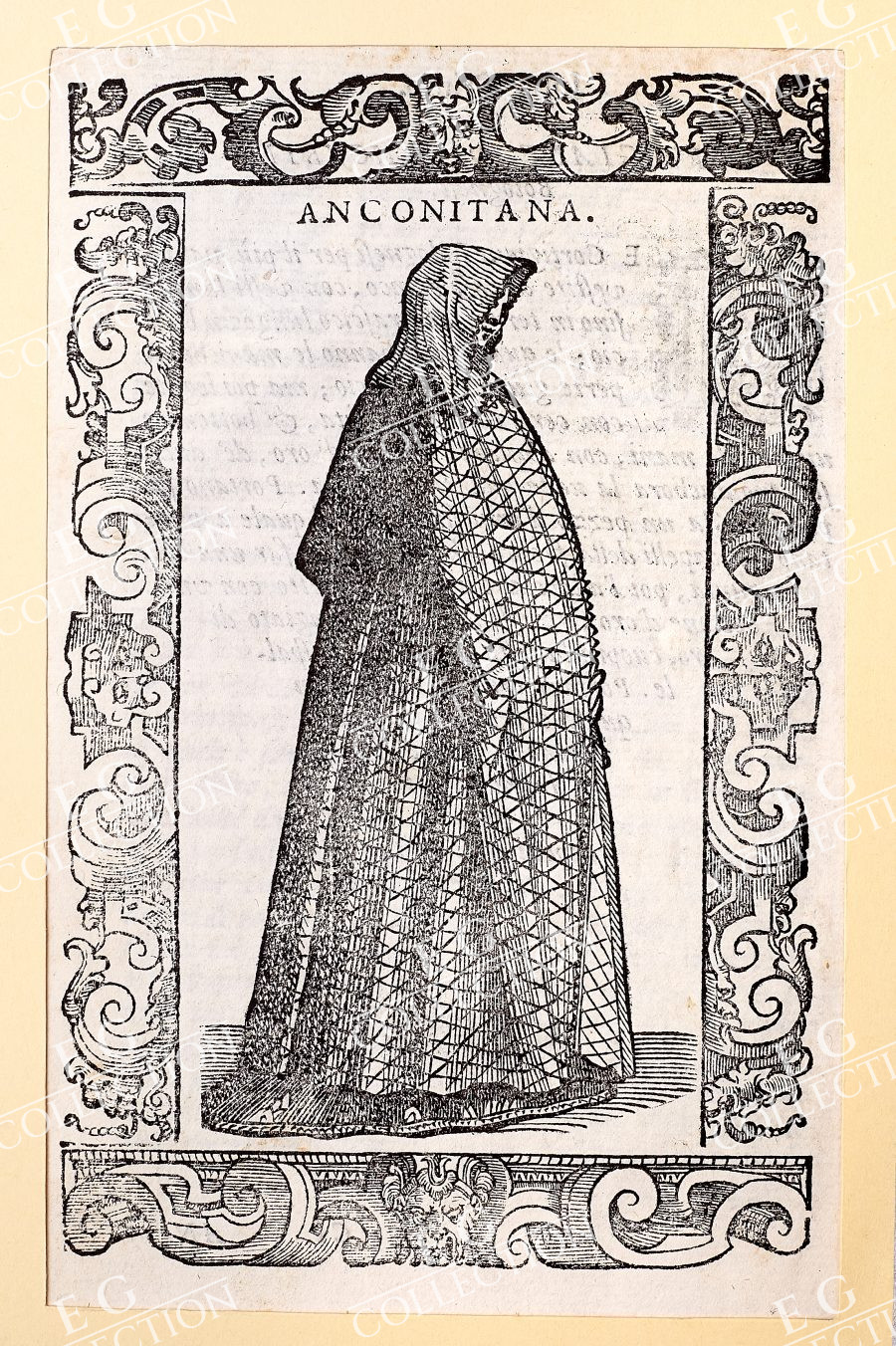 VECELLIO - Image 21