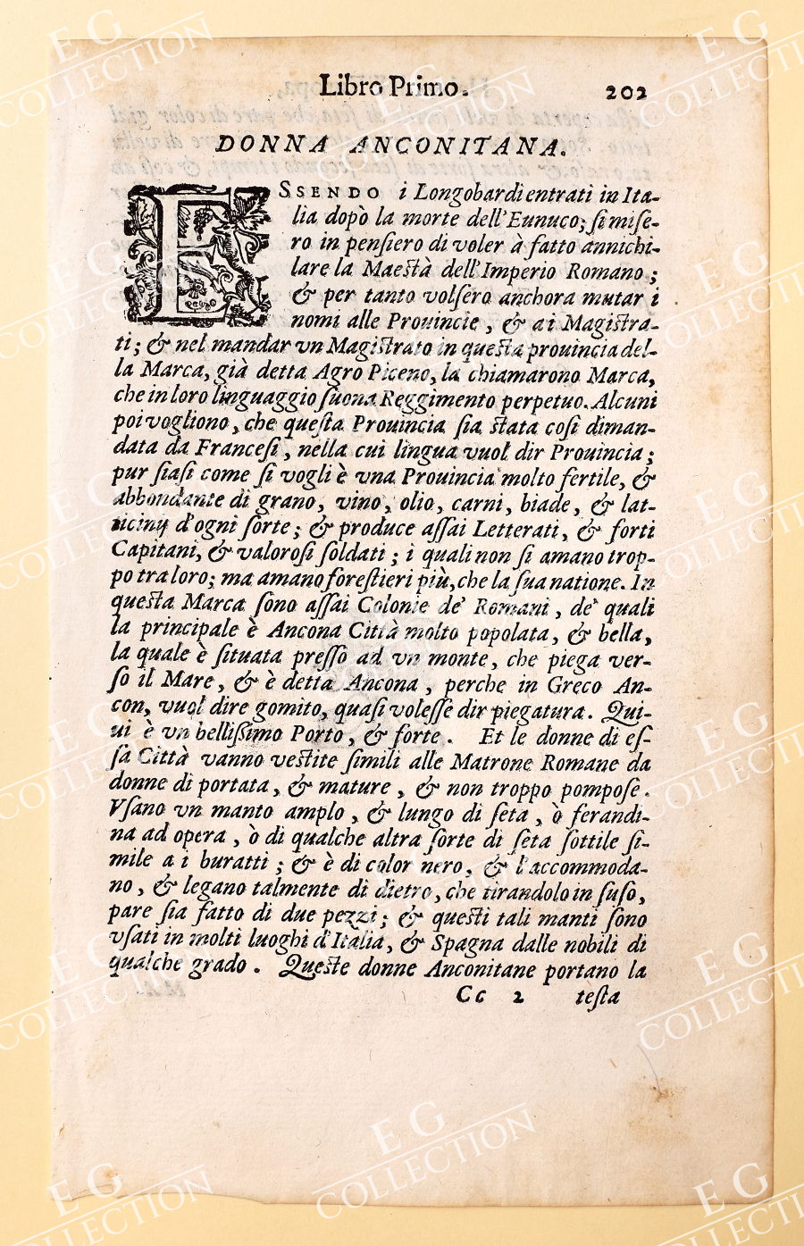 VECELLIO - Image 22